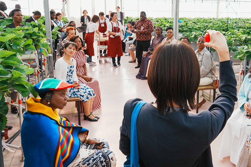 Spouses visiting Yokohama Strawberry Park (1)
