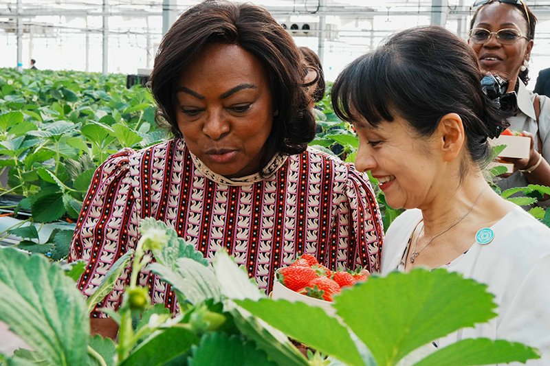 Spouses visiting Yokohama Strawberry Park (2)