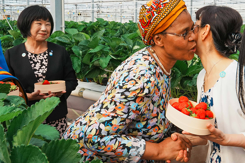 Spouses visiting Yokohama Strawberry Park (5)