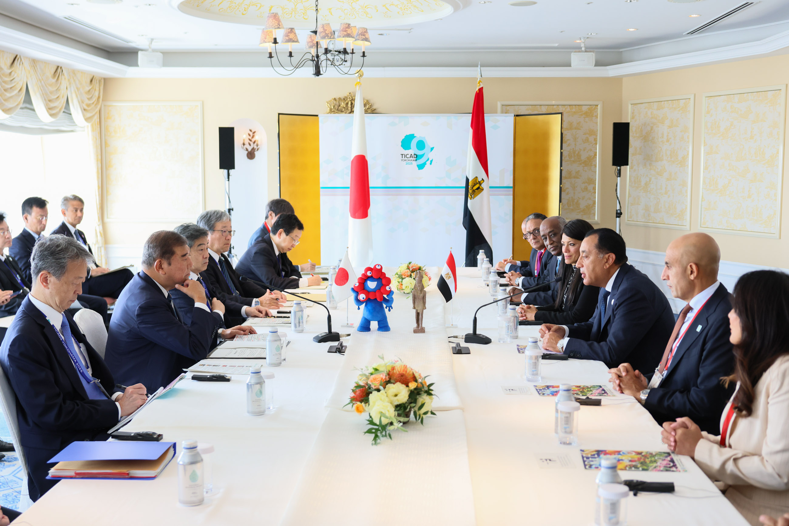 Japan-Egypt Summit Meeting (2)