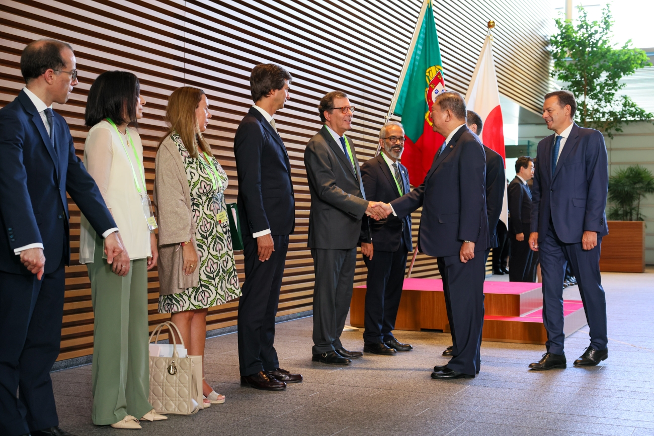 Salute and guard of honor of ceremony (6)