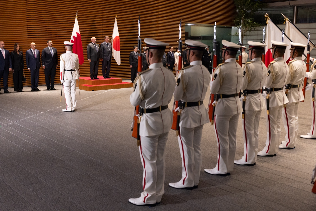 Salute and guard of honor ceremony (2)