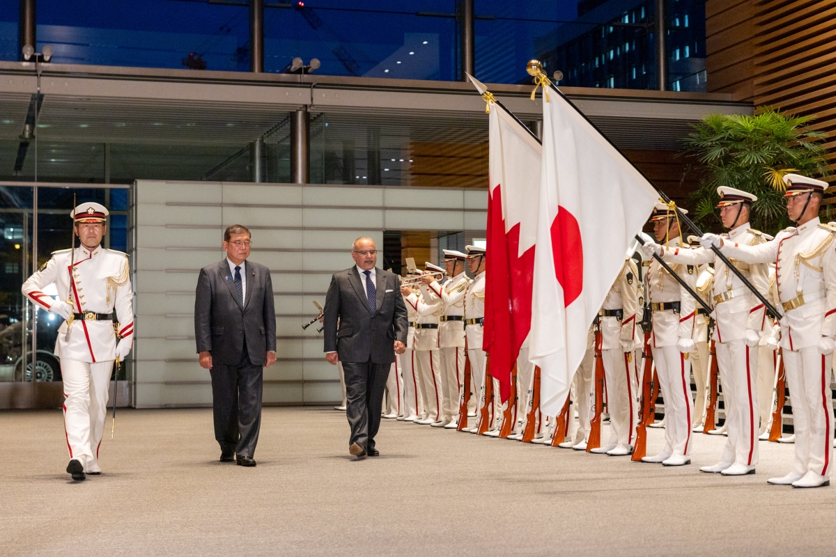 Salute and guard of honor ceremony (5)