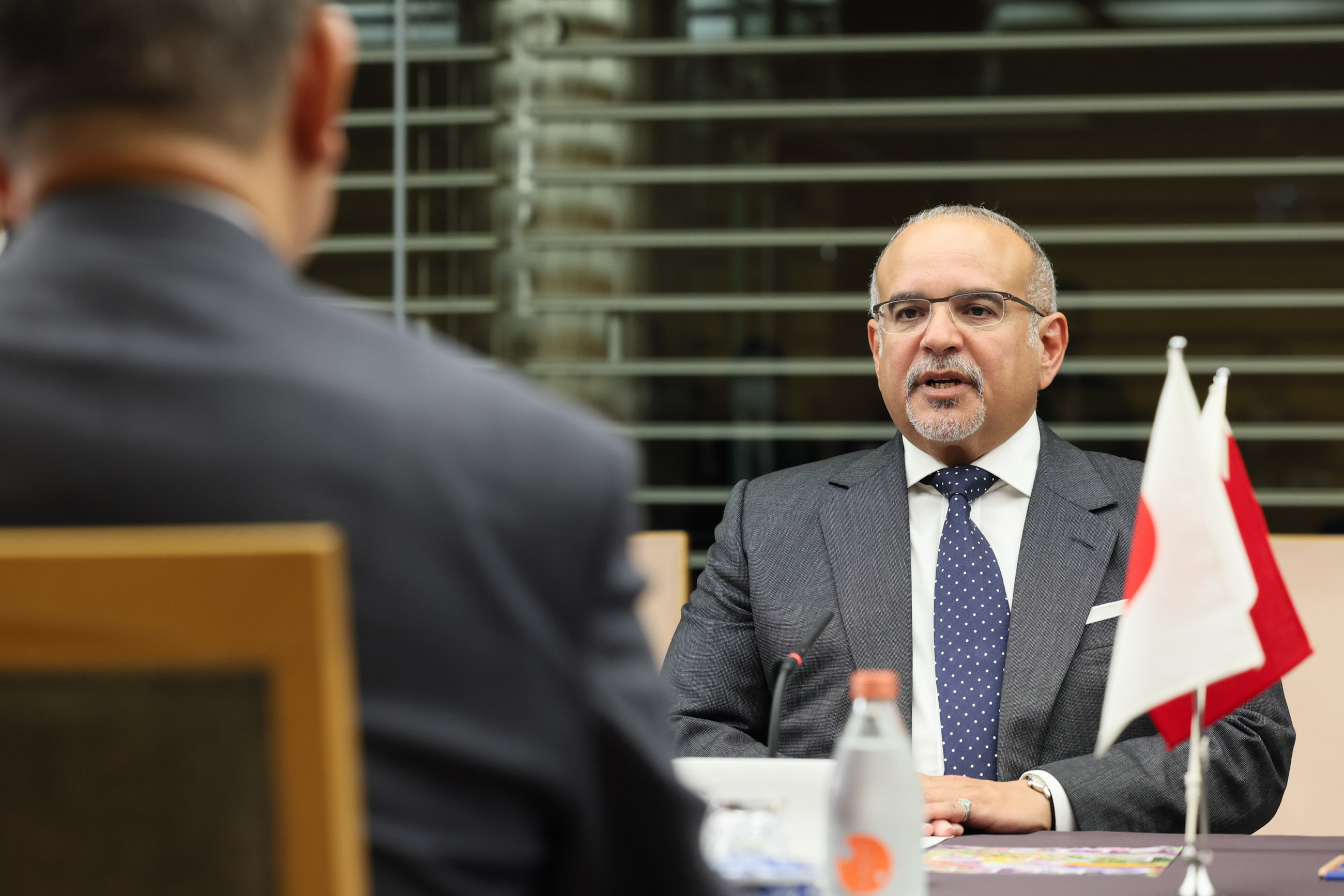 Meeting with His Royal Highness Crown Prince and Prime Minister Salman (9)