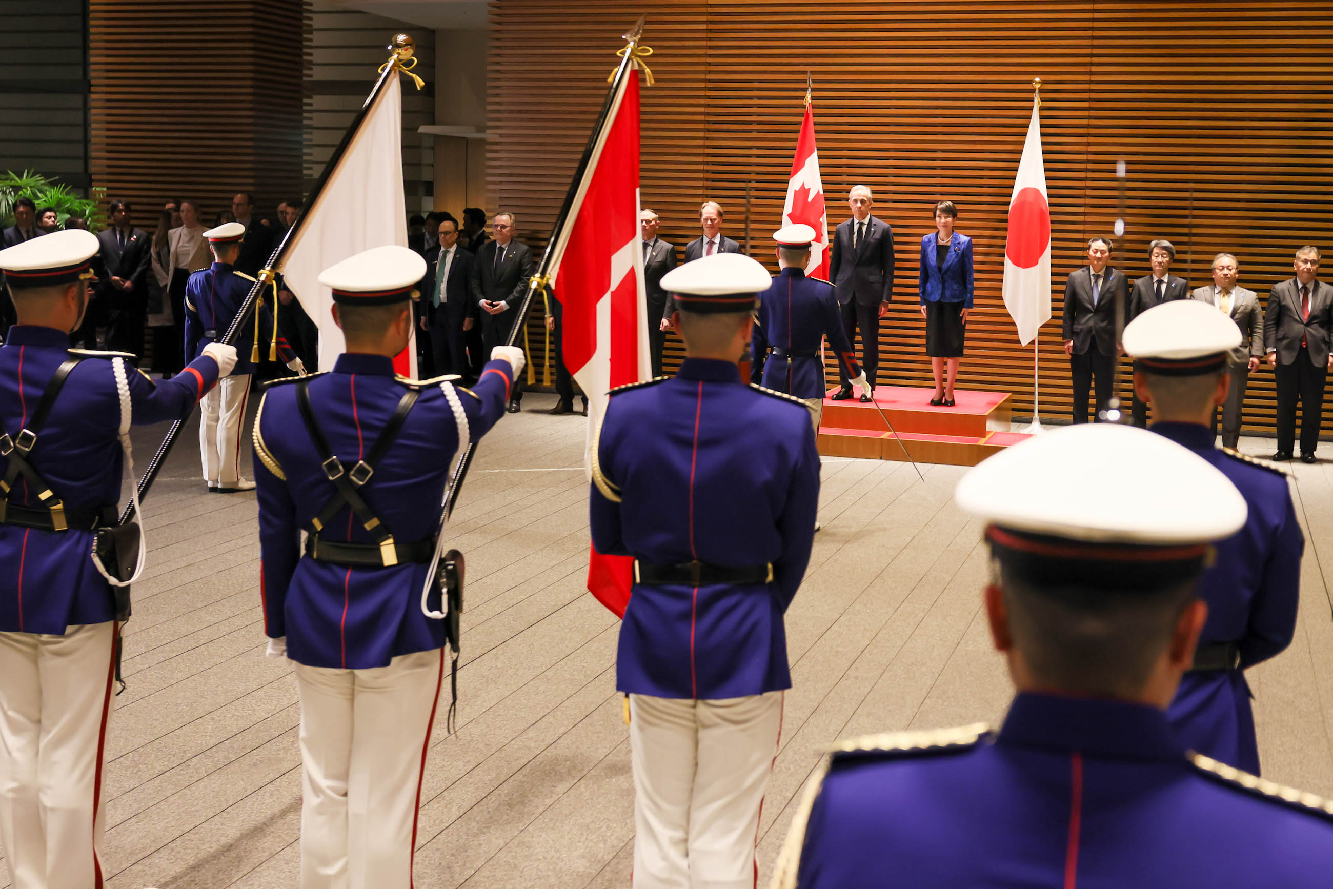 Salute and guard of honor ceremony (1)
