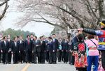 Photograph of the Prime Minister walking by rows of cherry trees (1)