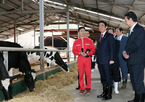 Photograph of the Prime Minister receiving an explanation on animal breeding at a livestock farm