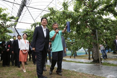 Photograph of the Prime Minister visiting a cherry orchard (1)