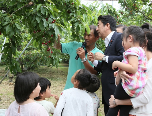 Photograph of the Prime Minister visiting a cherry orchard (2)