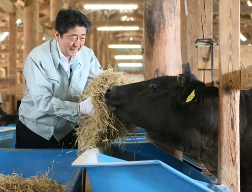 Photograph of the Prime Minister visiting a beef cattle ranch (2)