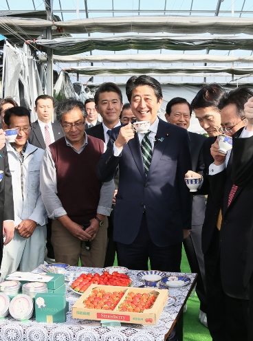 Photograph of the Prime Minister visiting a strawberry farm (3)