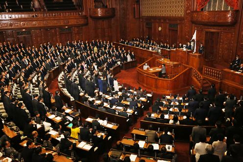 Photograph of the vote at the plenary session of the House of Representatives