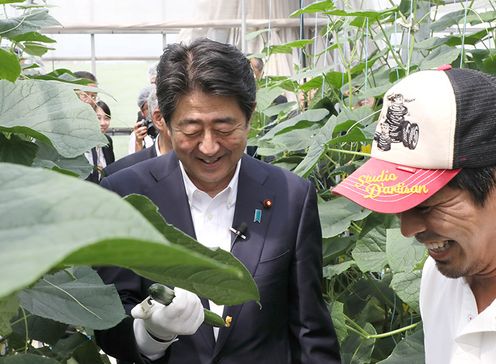 Photograph of the Prime Minister visiting a farm