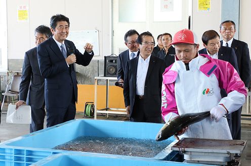 Photograph of the Prime Minister observing the hauling