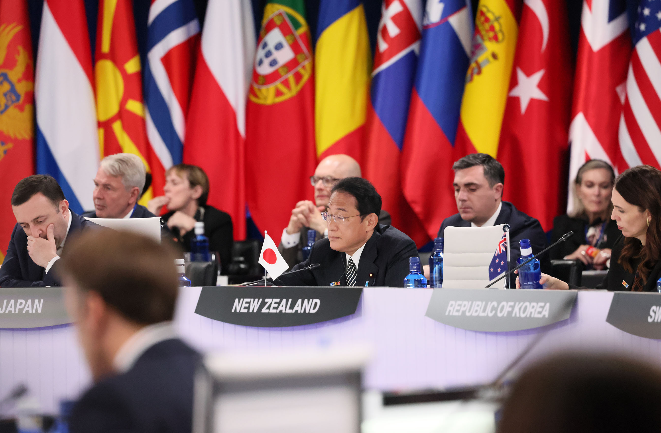 NATO Summit Partner Session (7)