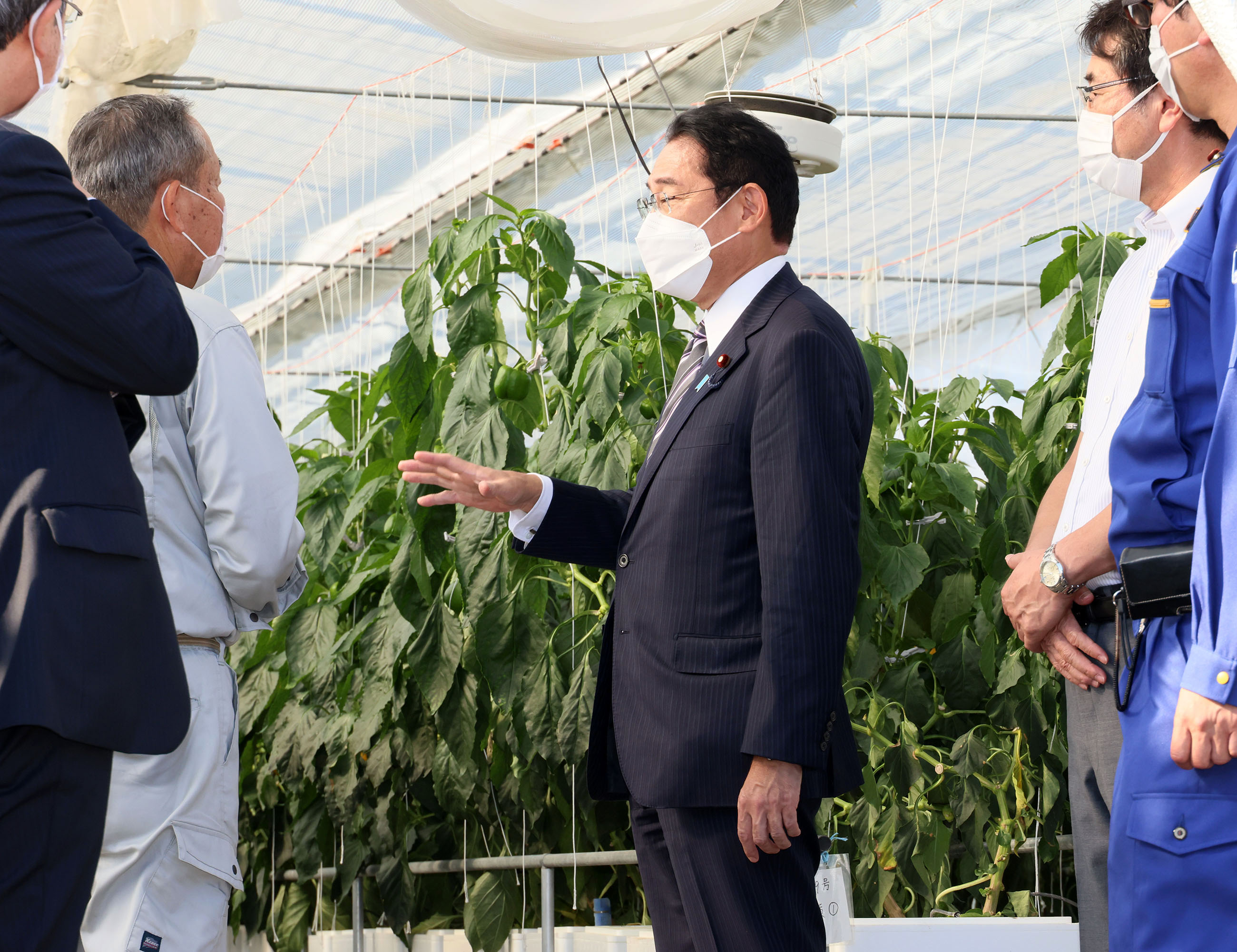 Photograph of the Prime Minister visiting an agricultural facility (1)