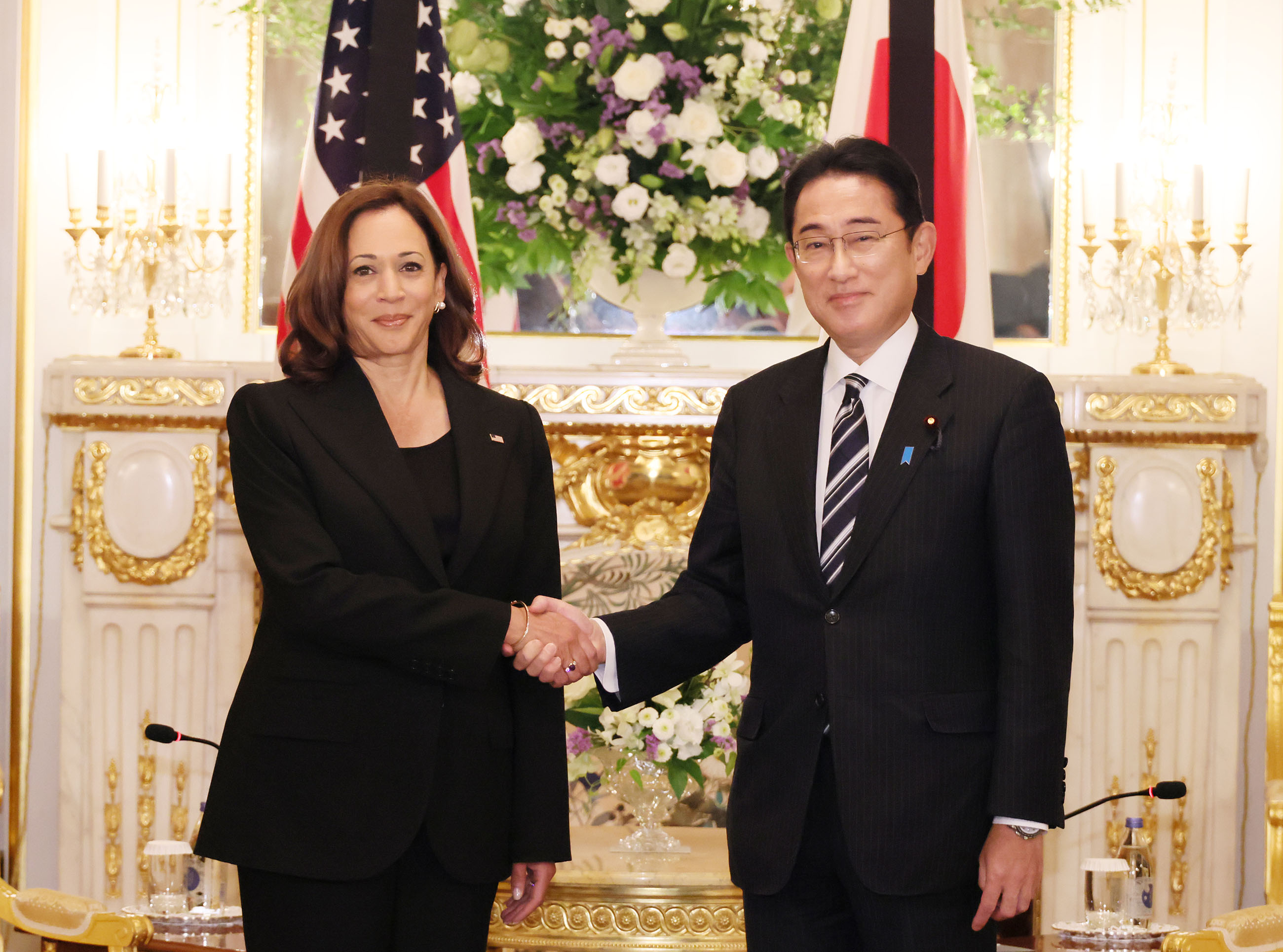 Photograph of the Prime Minister receiving a courtesy call from U.S. Vice President Kamala Harris (1)