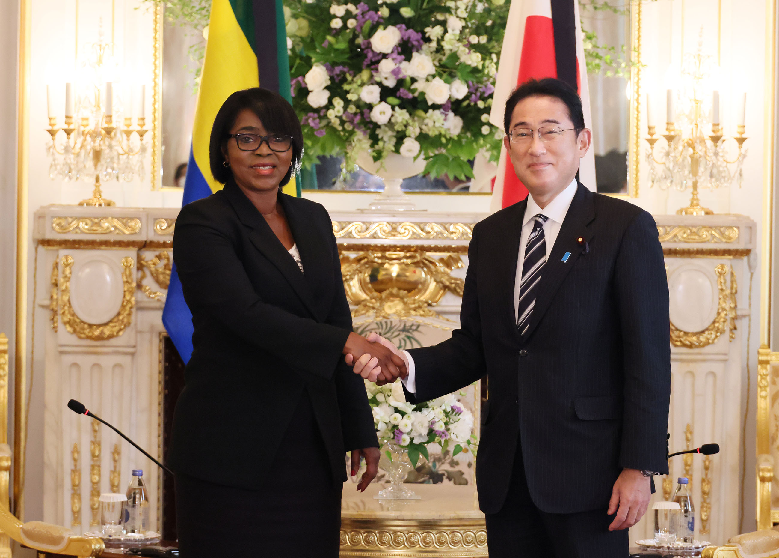 Photograph of Japan-Gabon Summit Meeting (1)