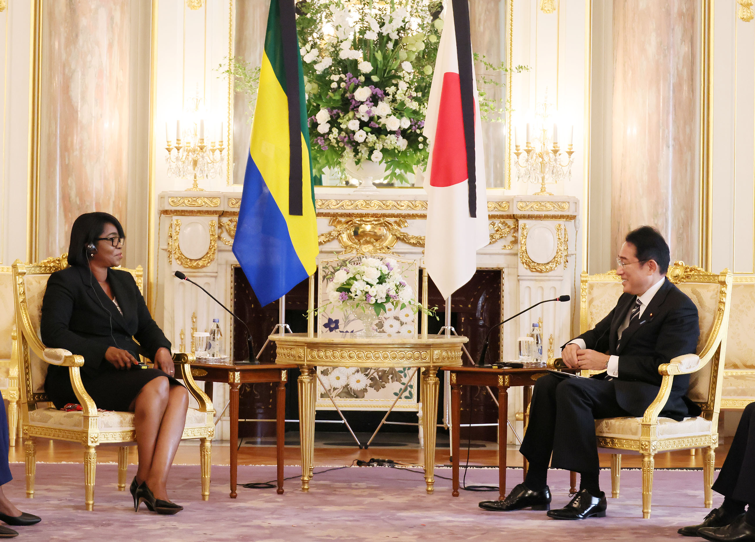 Photograph of Japan-Gabon Summit Meeting (2)