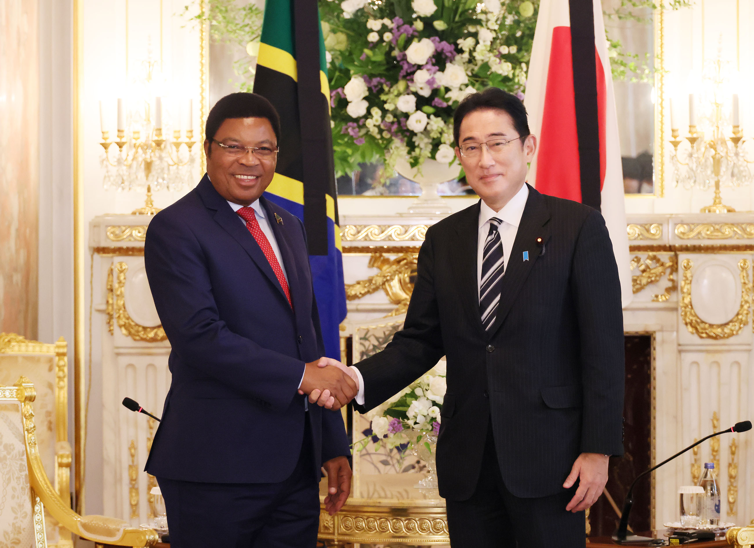 Photograph of Japan-Tanzania Summit Meeting (1)