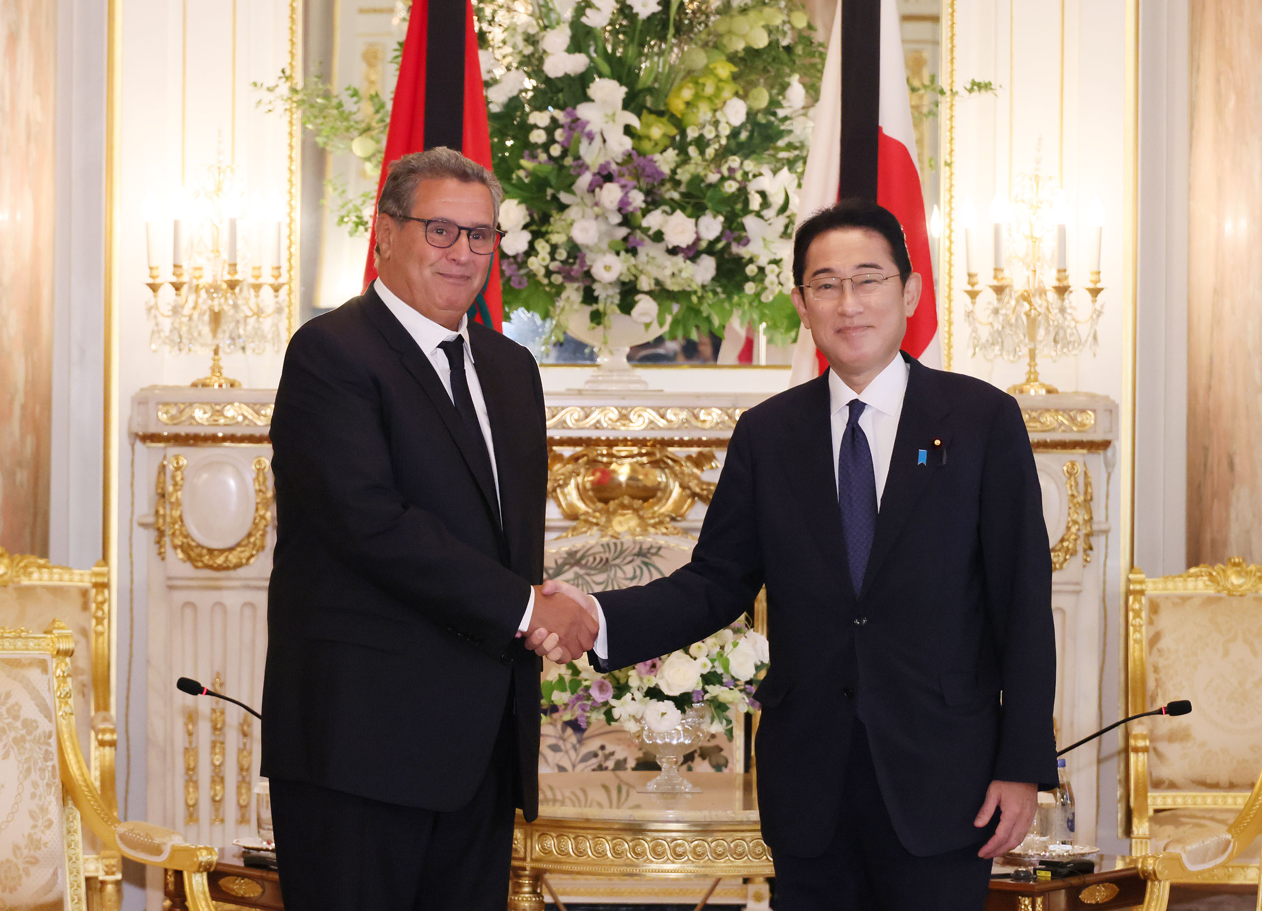 Photograph of Japan-Morocco Summit Meeting (1)