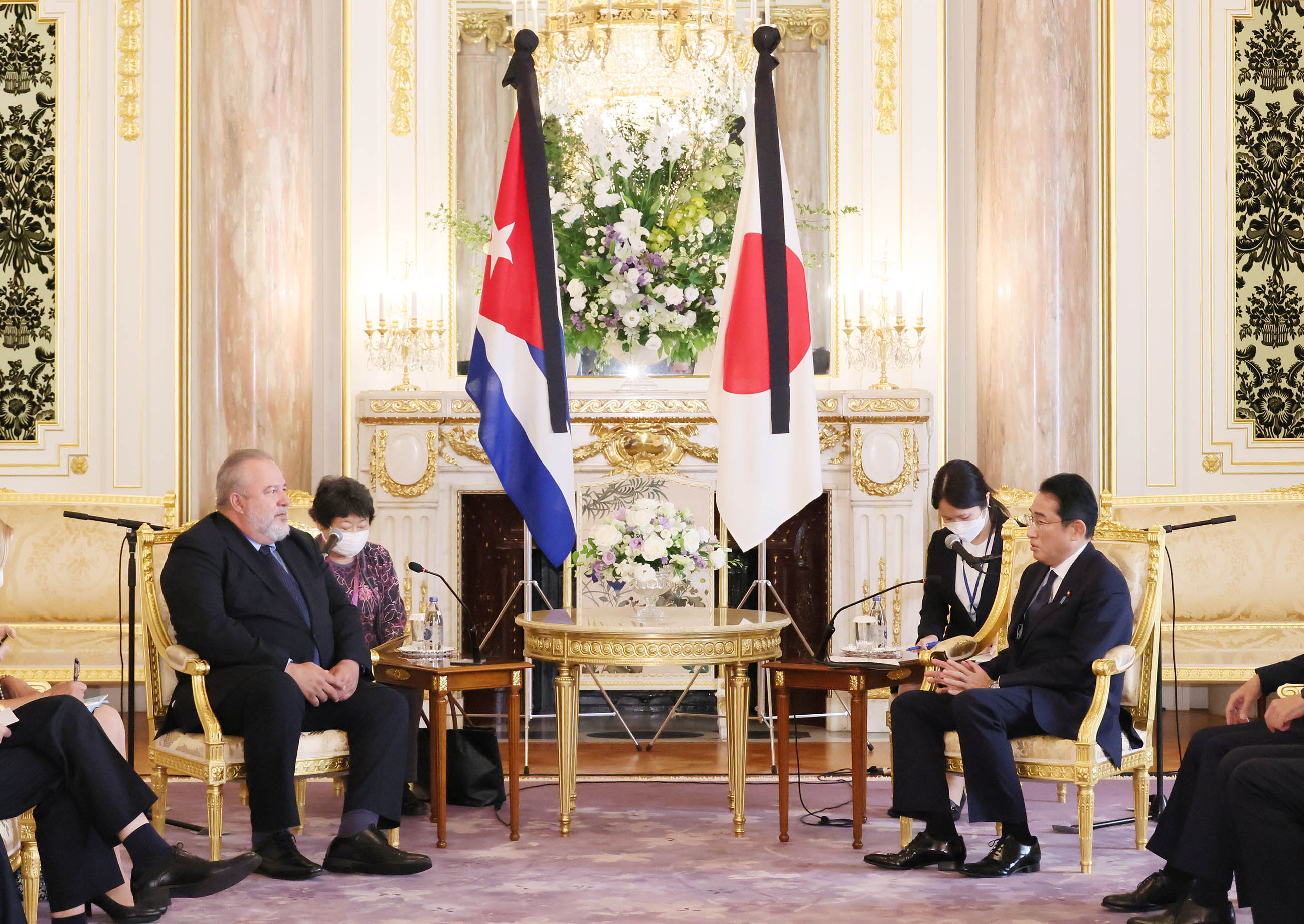 Photograph of Japan-Cuba Summit Meeting (2)