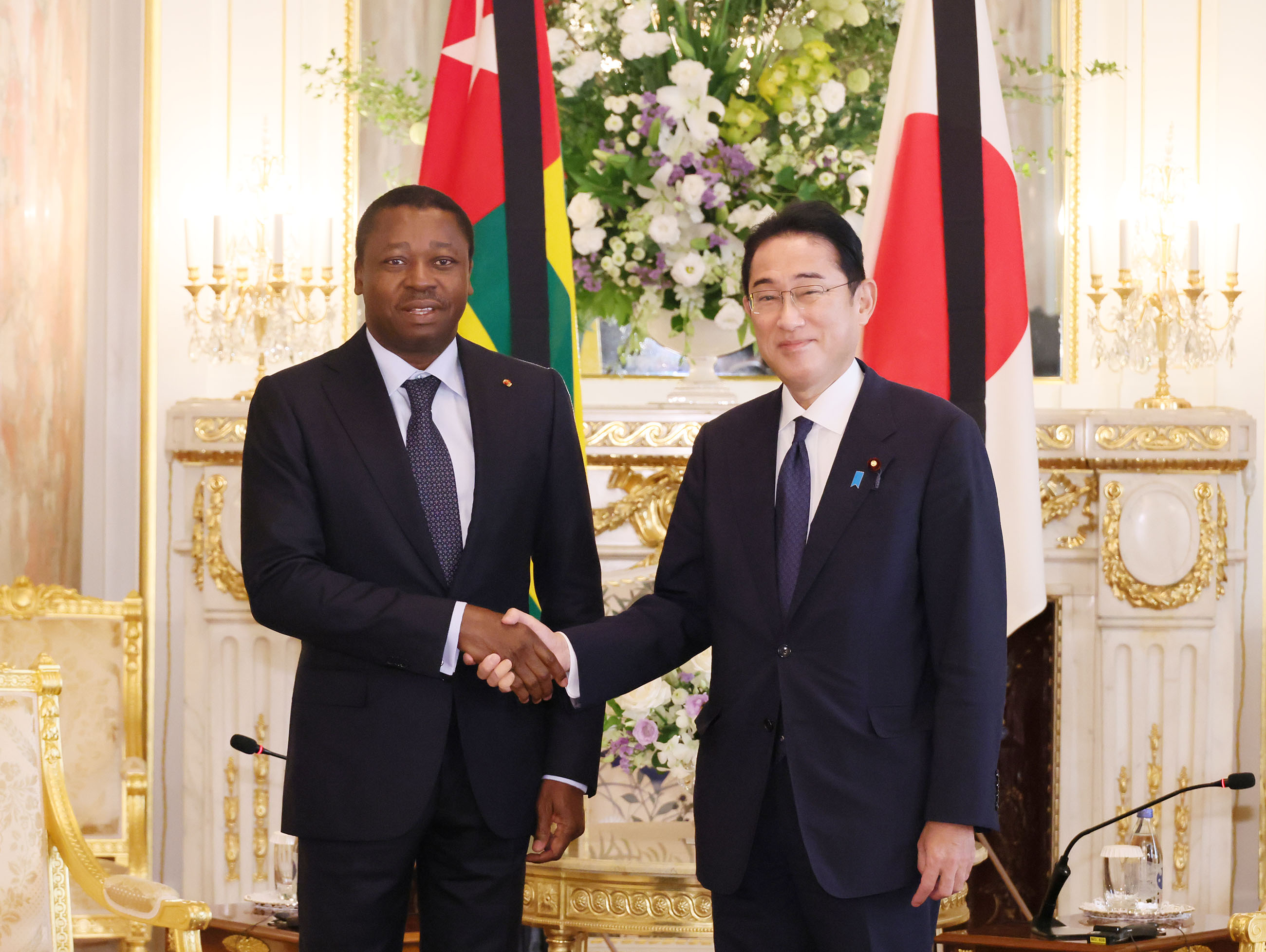 Photograph of Japan-Togo Summit Meeting (1)