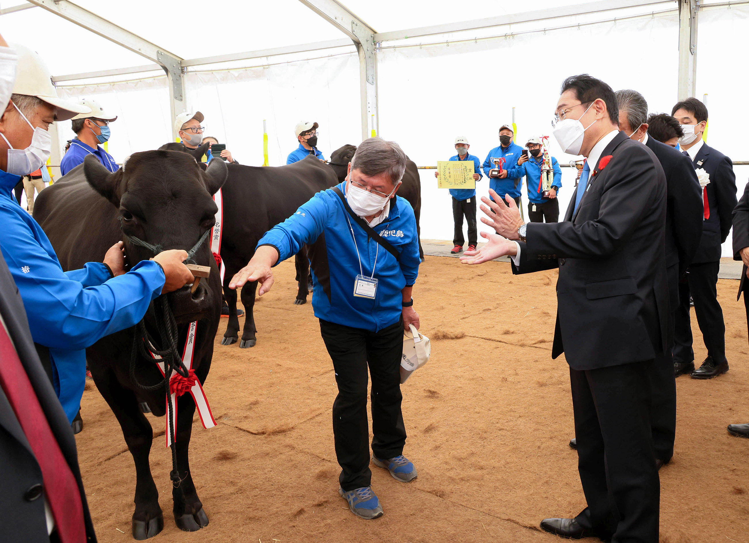 Photograph of the Prime Minister receiving an explanation on wagyu beef (1)