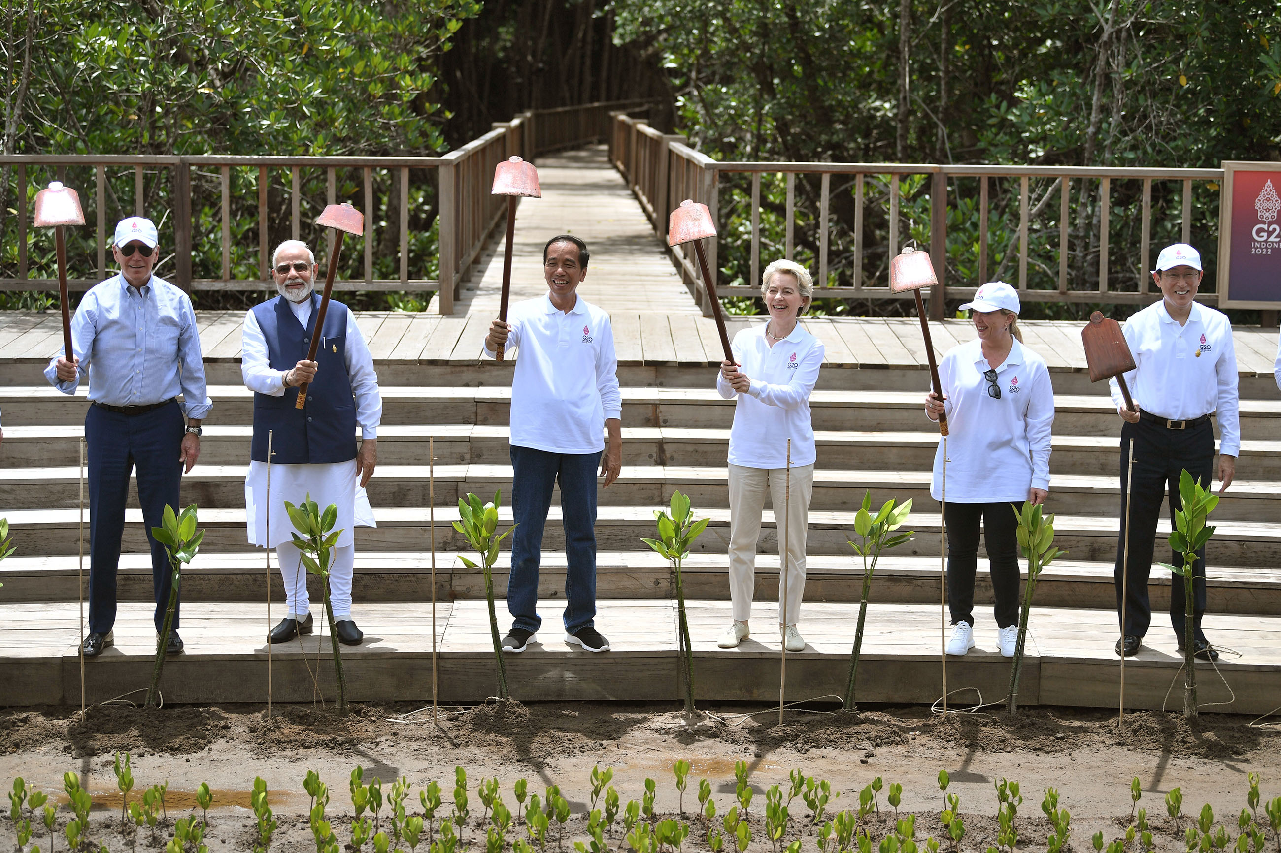 Prime Minister Kishida visiting a mangrove forest (1) (Photo credit: Host Photo Agency G20)