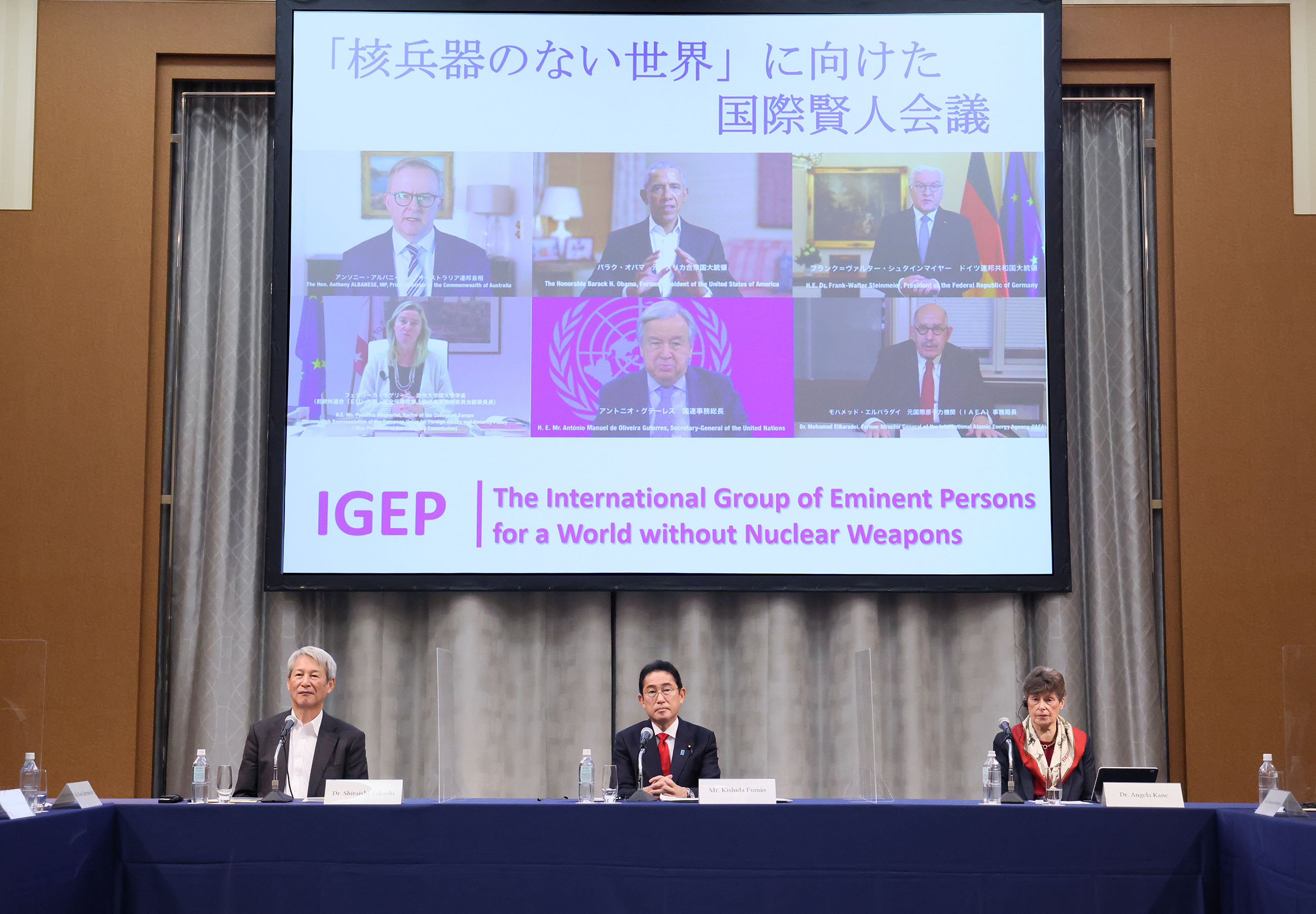International Group of Eminent Persons for a World without Nuclear Weapons (IGEP) (1)