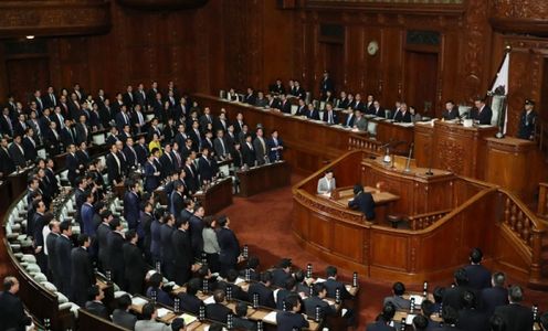 Photograph of the vote in the plenary session of the House of Representatives