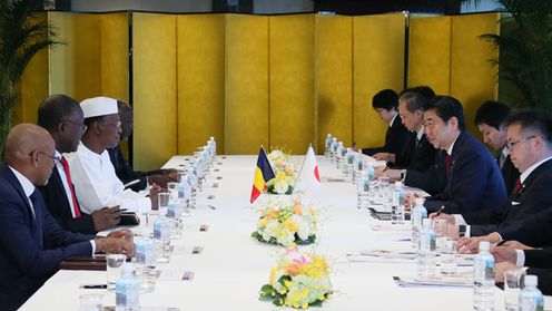Photograph of the Japan-Chad Summit Meeting