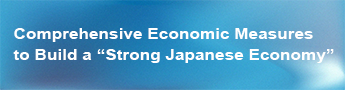 Comprehensive Economic Measures to Build a “Strong Japanese Economy”