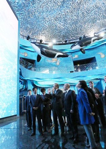 Photograph of the Prime Minister attending the opening ceremony of the Primorsky Aquarium (3)