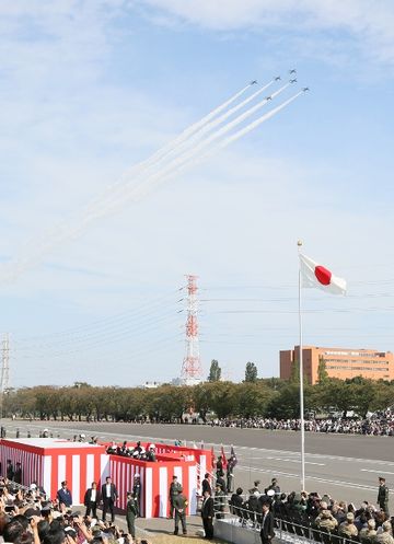 Photograph of the aerobatic flight exhibition