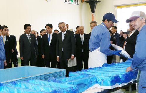 Photograph of the Prime Minister visiting a business involved with the reconstruction of tourism (1)