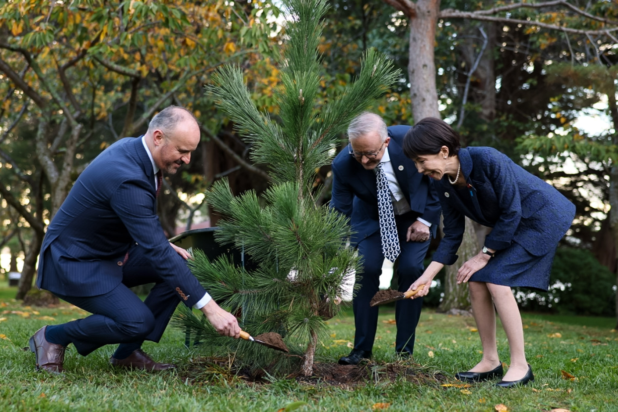 Prime Minister Takaichi planting a tree (1)