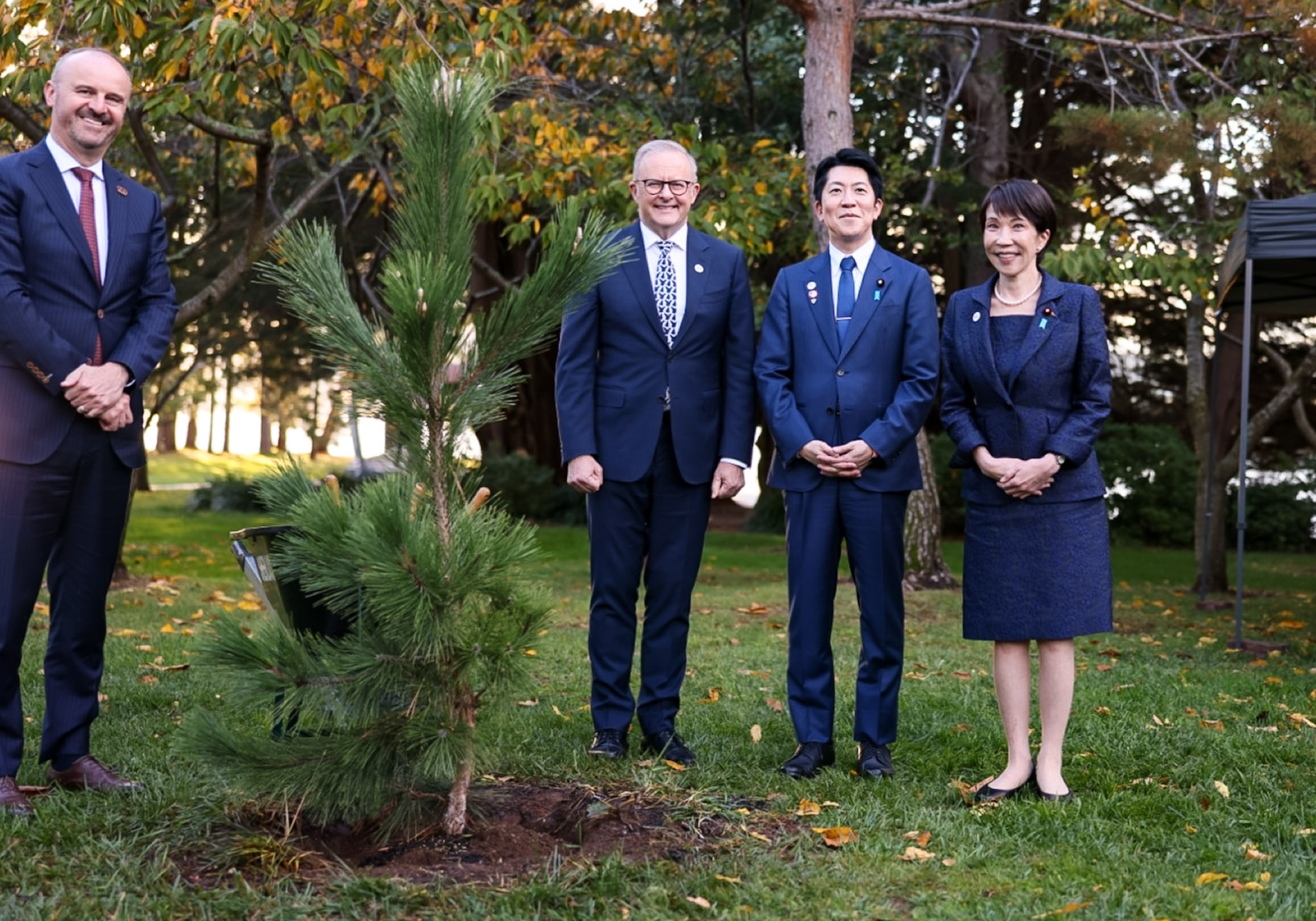 Prime Minister Takaichi planting a tree (2)
