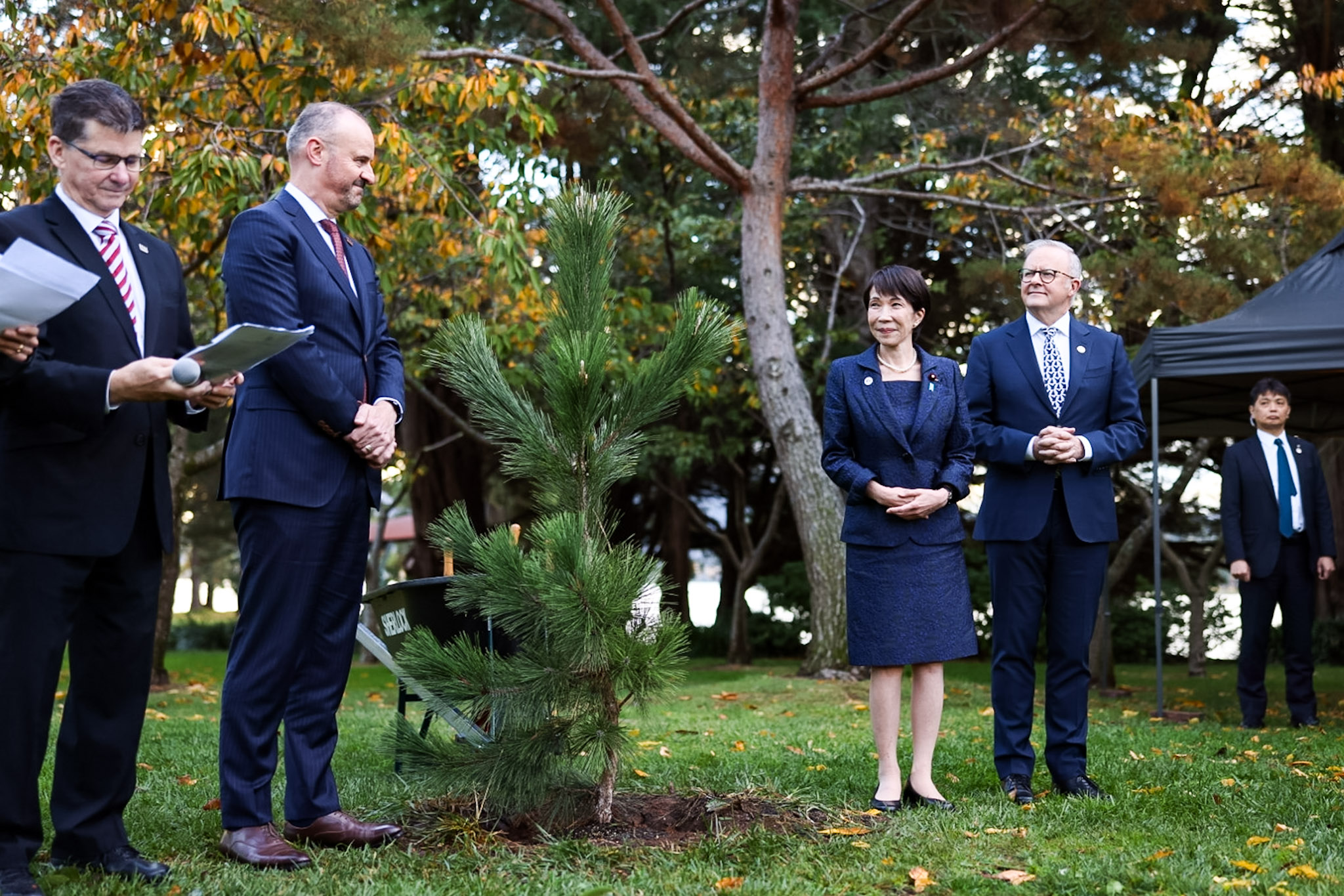 Prime Minister Takaichi planting a tree (1)