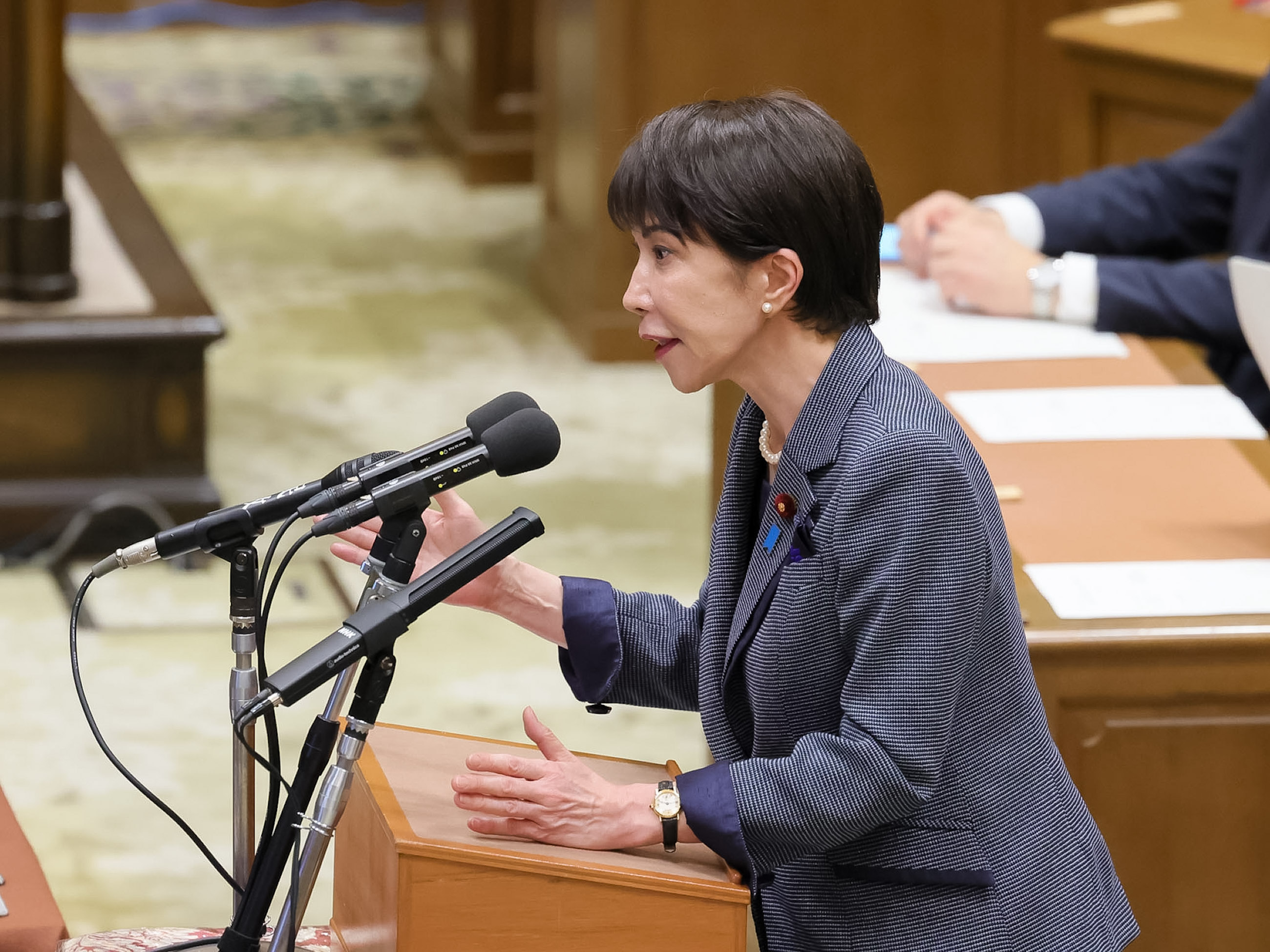 Prime Minister Takaichi making a statement (1)