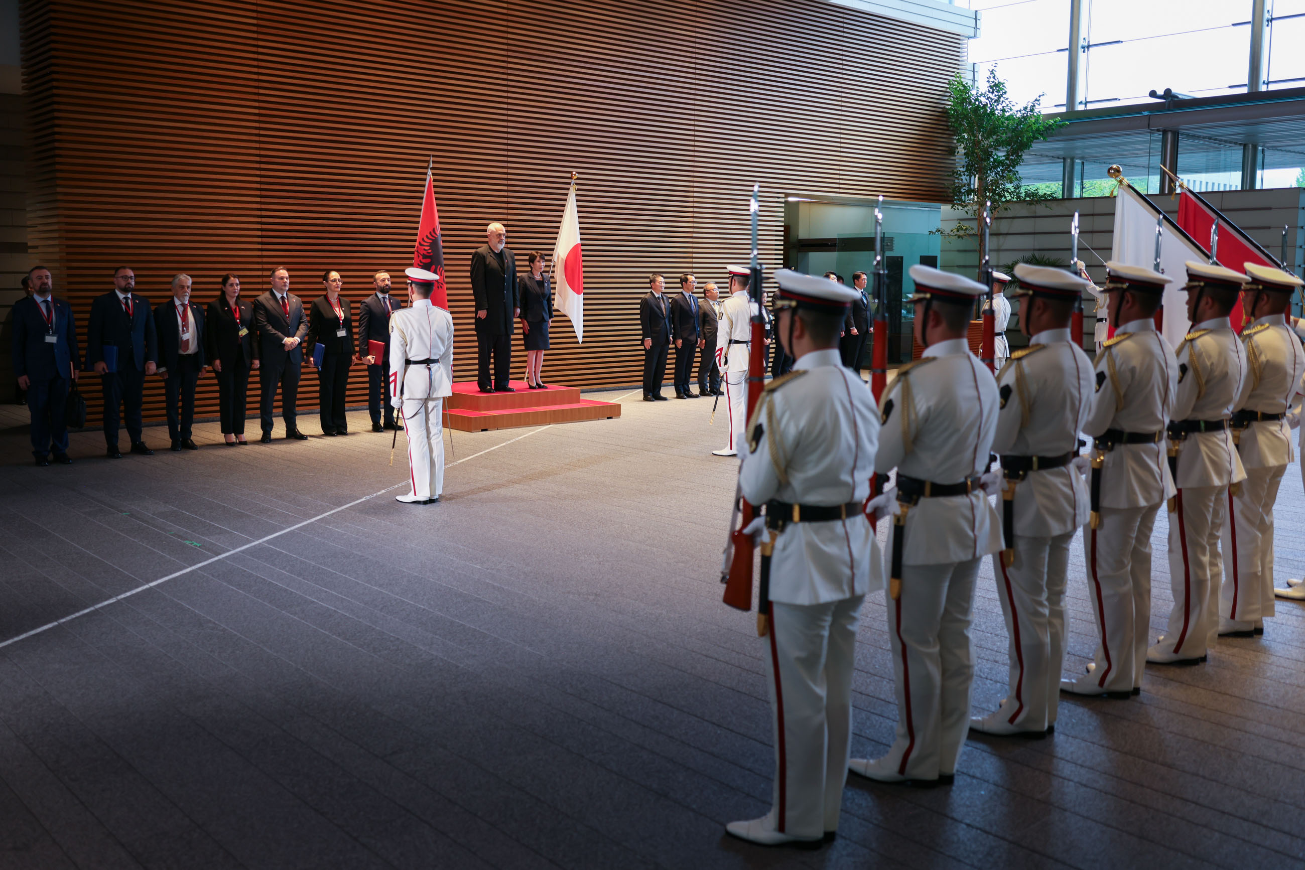 Salute and guard of honor ceremony (2)
