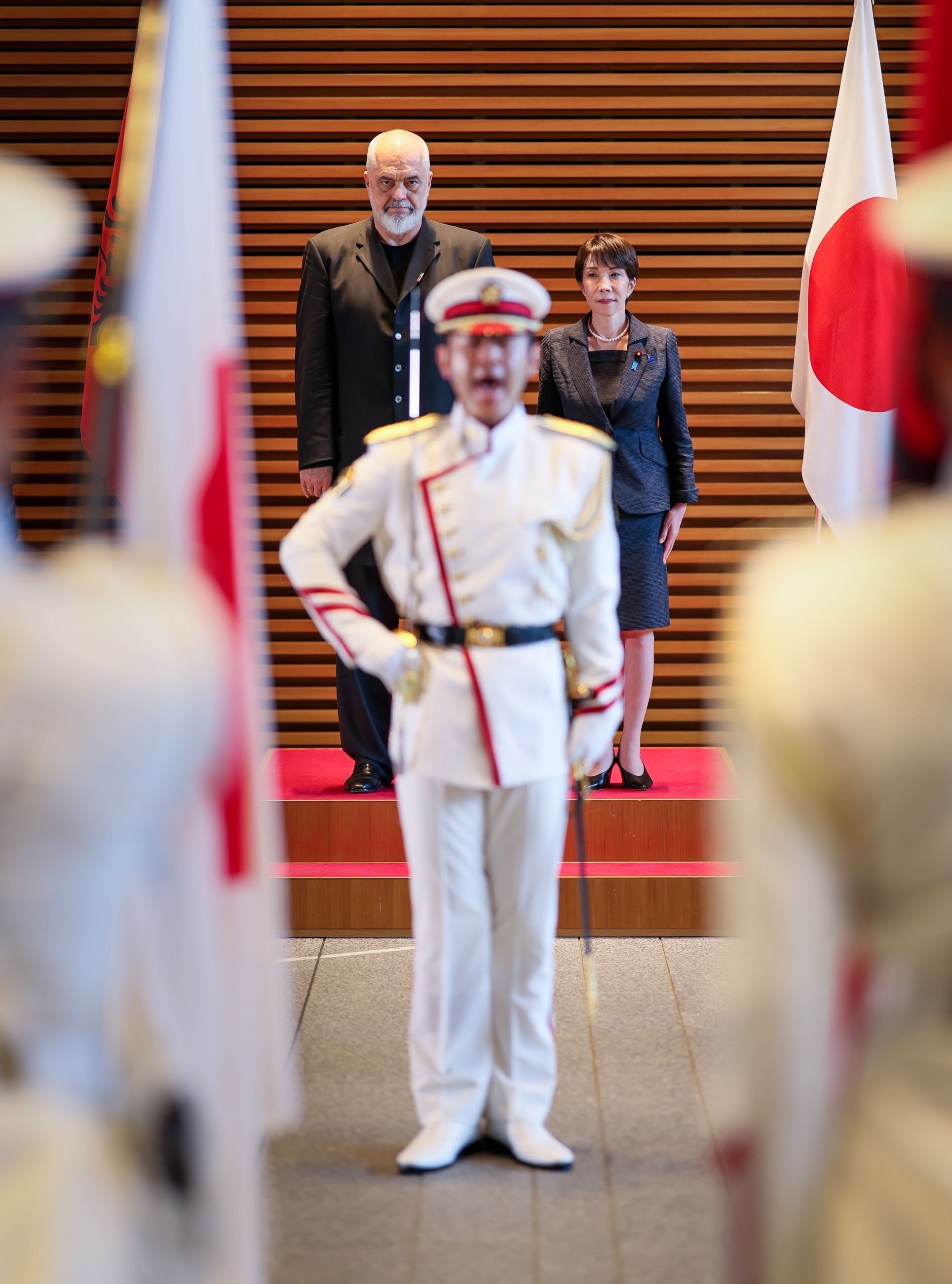 Salute and guard of honor ceremony (3)
