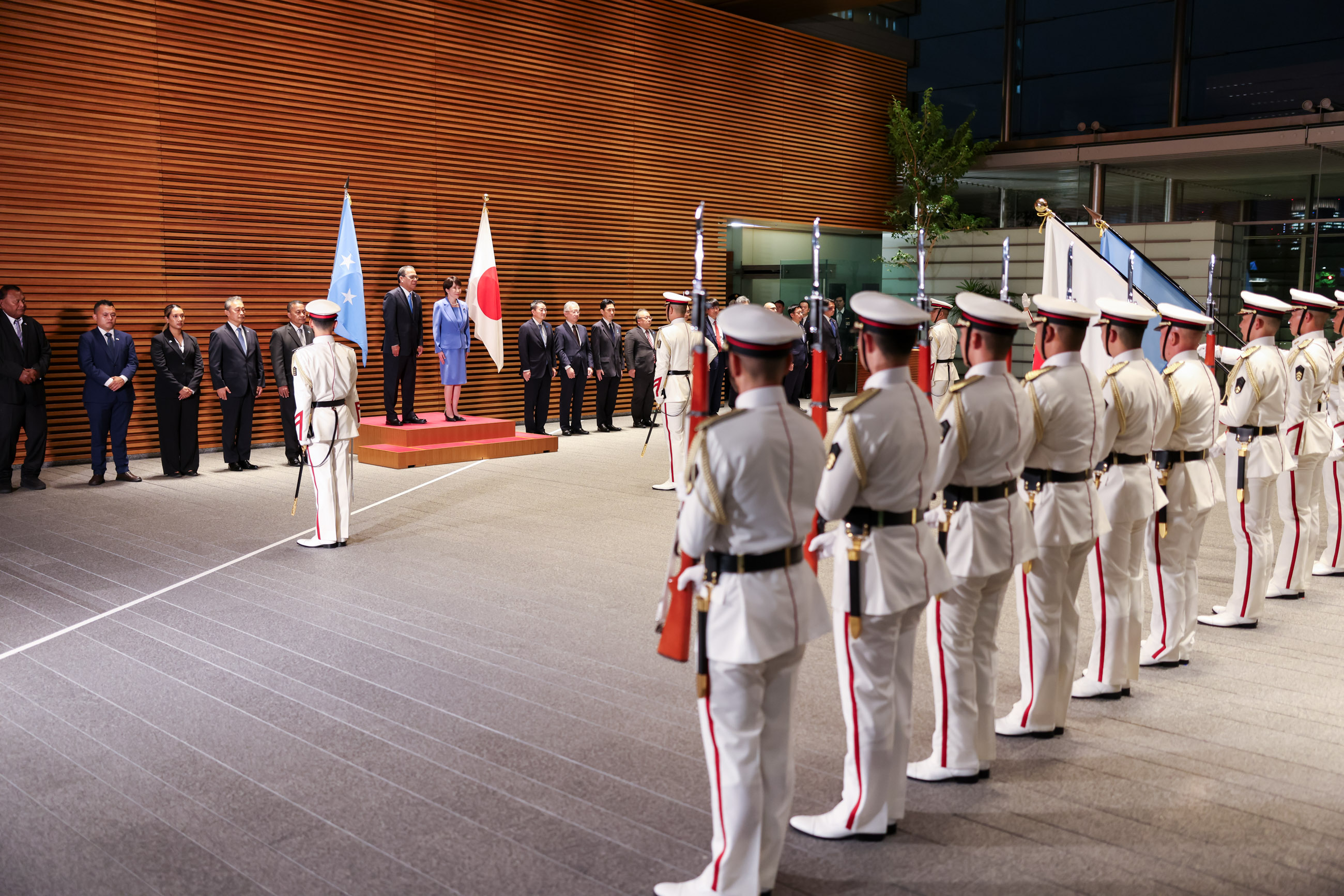 Salute and guard of honor ceremony (2)