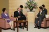 Photograph of Prime Minister Hatoyama receiving a courtesy call from Co-Chair Evans and Co-Chair Kawaguchi