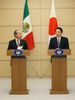 Photograph of Prime Minister Hatoyama and President Felipe Calderón Hinojosa making a joint press announcement