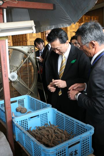 Photograph of the Prime Minister observing a konjac storage house
