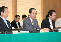 Photograph of the 4th meeting of the Central Council on Promotion of Measures for Persons with Disabilities