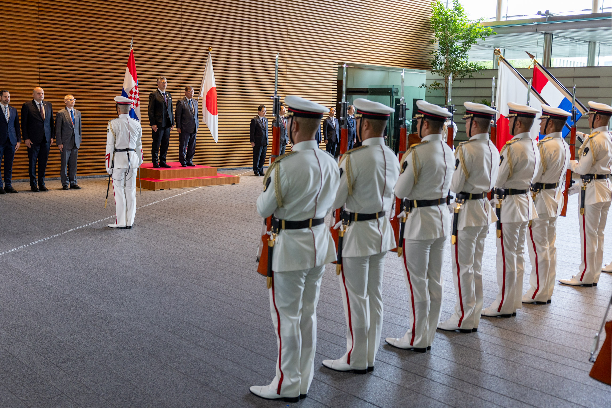 Salute and guard of honor ceremony (2)