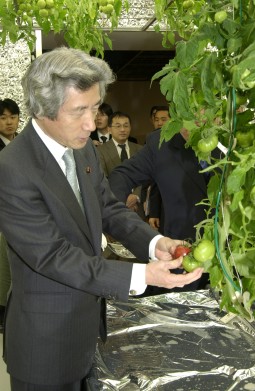 Prime Minister Koizumi visits Underground Farming Space