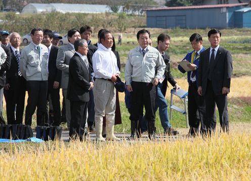 Photograph of the Prime Minister observing a production area for premium brand rice 1